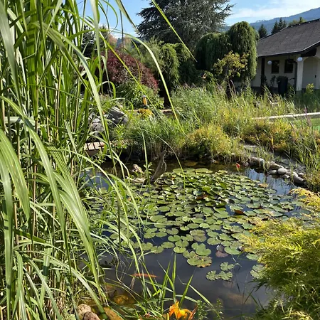 Julia - Ruhelage Mit Panoramablick Διαμέρισμα *